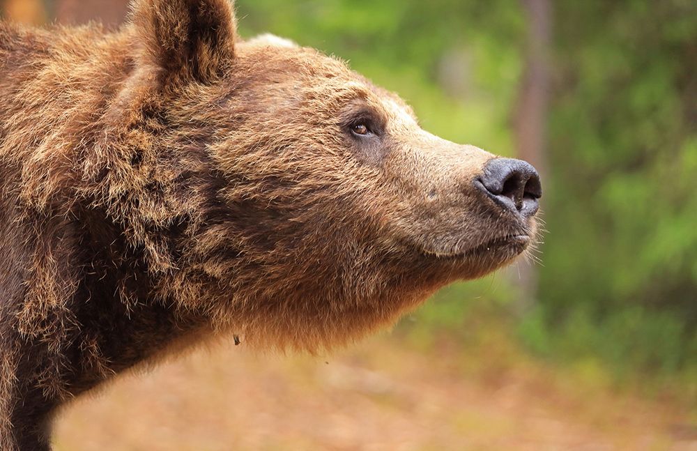 Я тебя вижу.