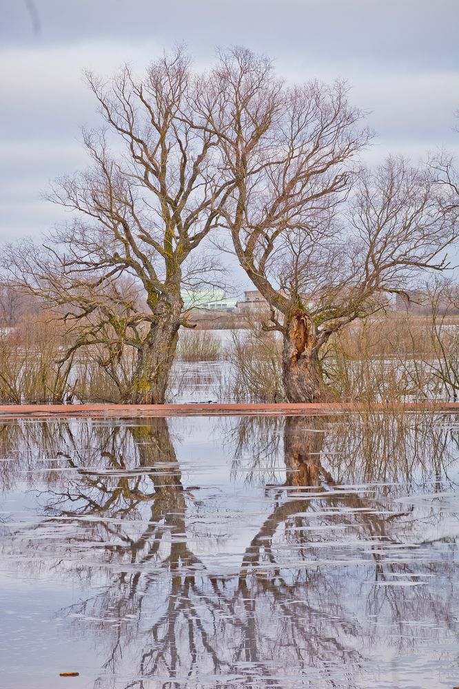 Photograph by Дмитрий Жижин