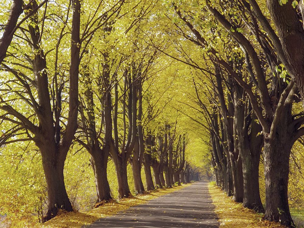 Фотография автора Agnieszka