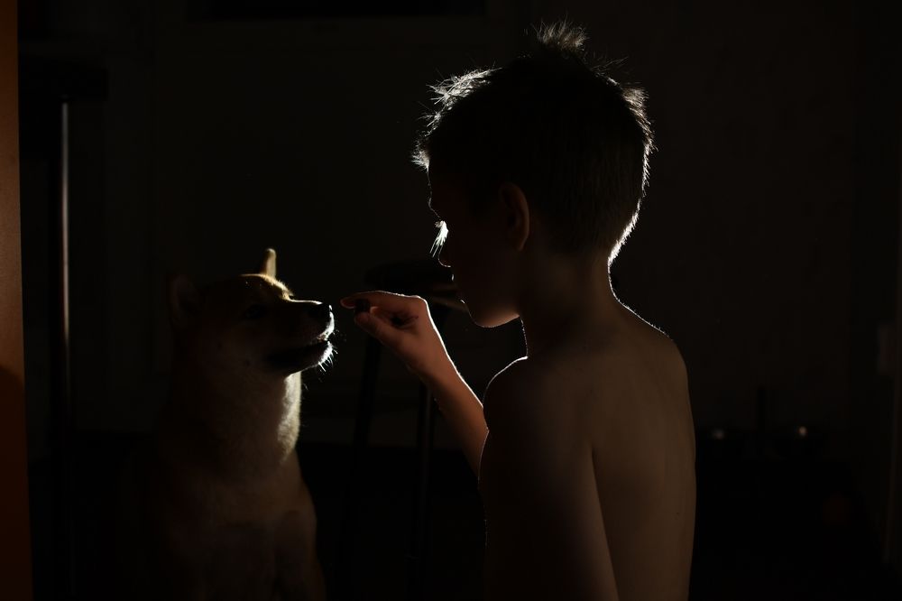 Photograph by Евгения Горшкова