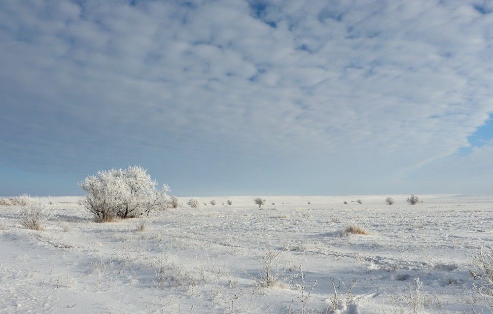 Photograph by Татьяна Котельникова