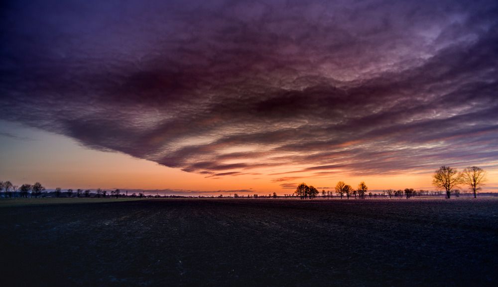 Фотография автора NIghtdream