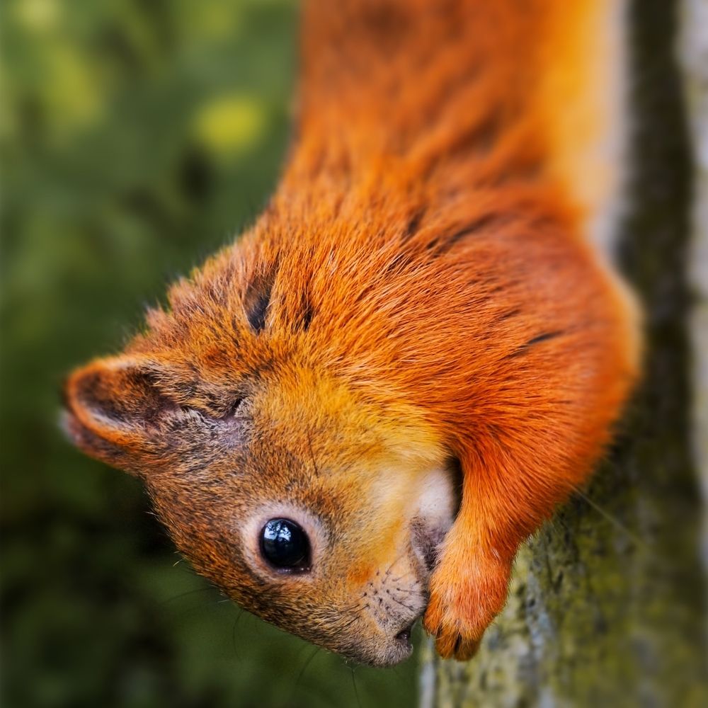 Photograph by Андрей Фёдоров