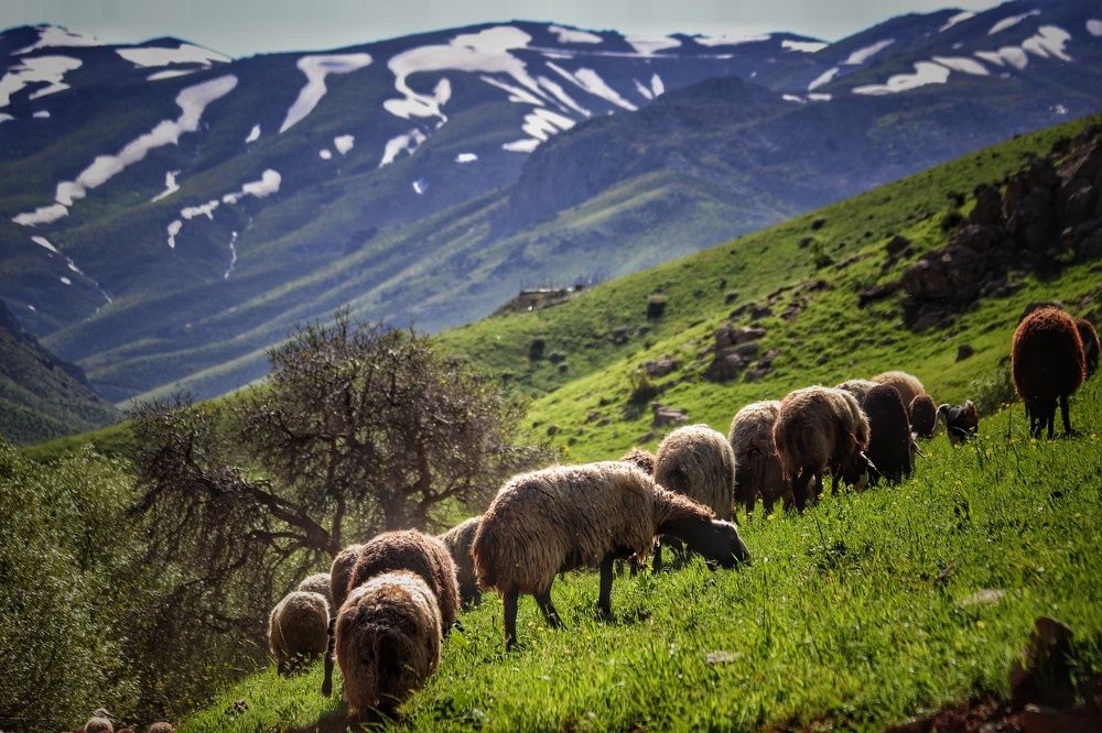 Photograph by Keyvan Hosine pour