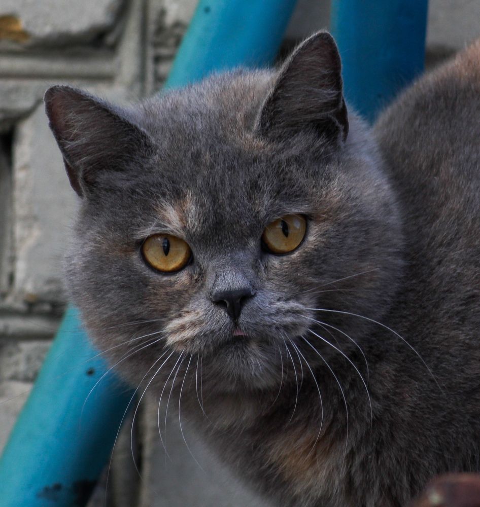 Photograph by Валерий Безбородов