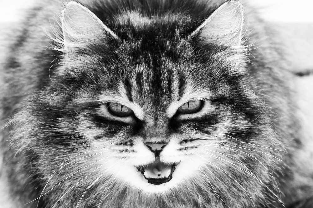 Photograph by Валерий Безбородов