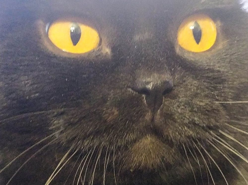 Photograph by Валерий Безбородов