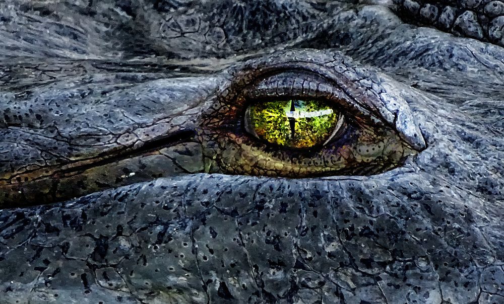 Photograph by Eduardo Modolo