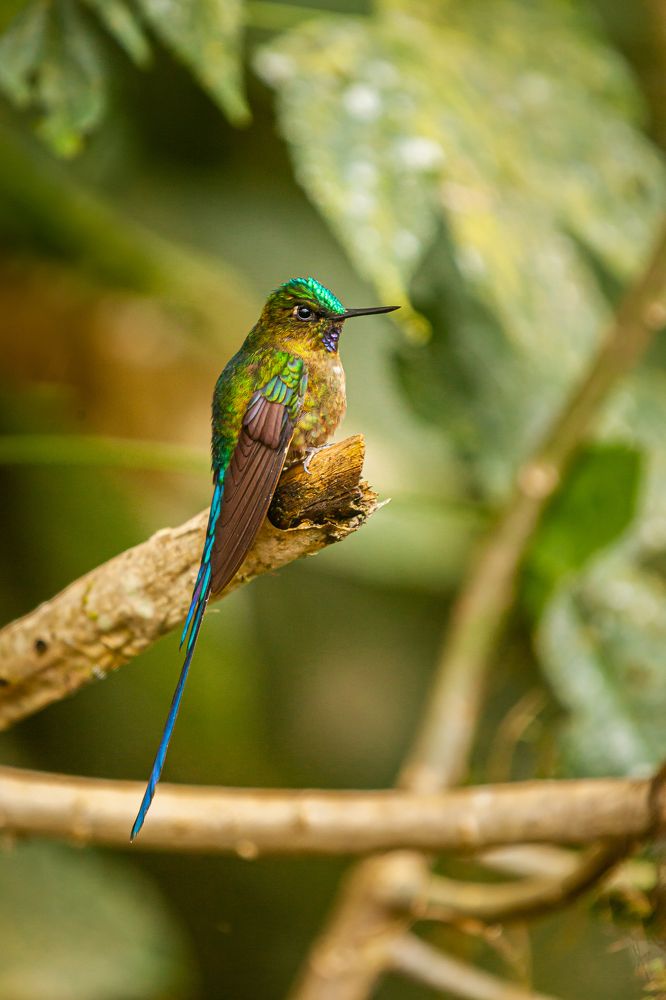 Photograph by Marco Vinicio Garzón Maya