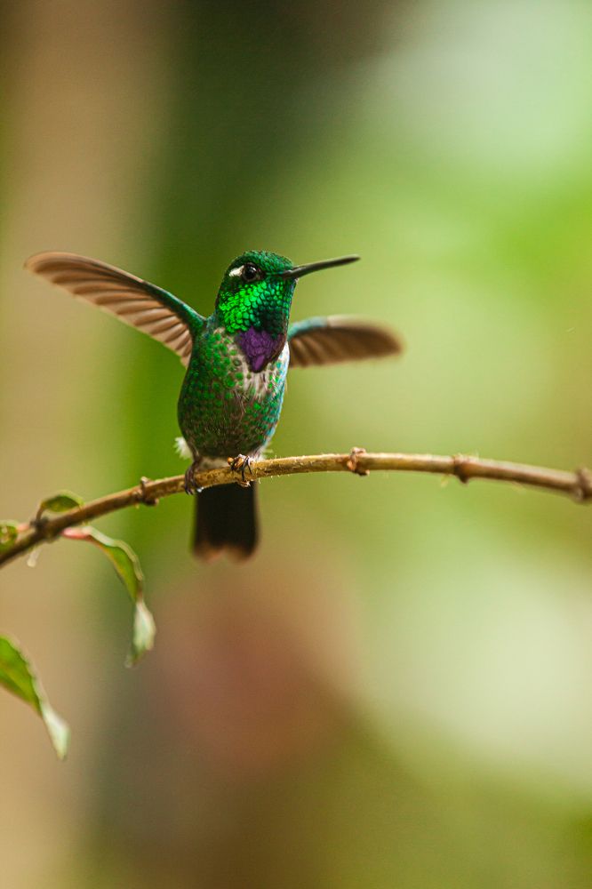 Photograph by Marco Vinicio Garzón Maya