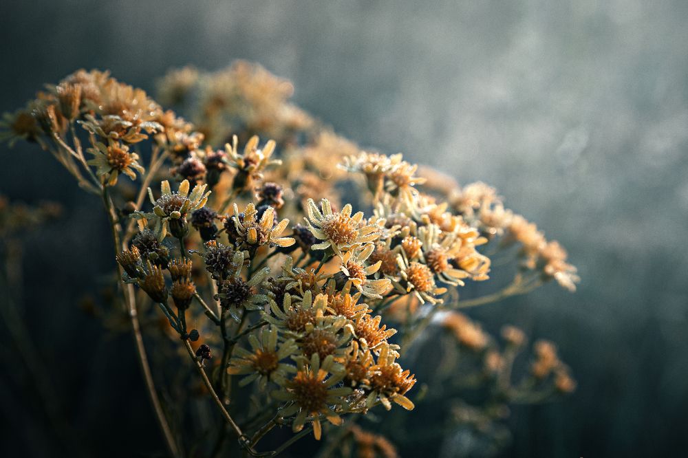 Photograph by Антон Кривошейцев