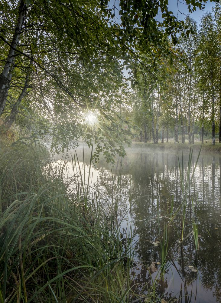 Photograph by Юрий Чернов