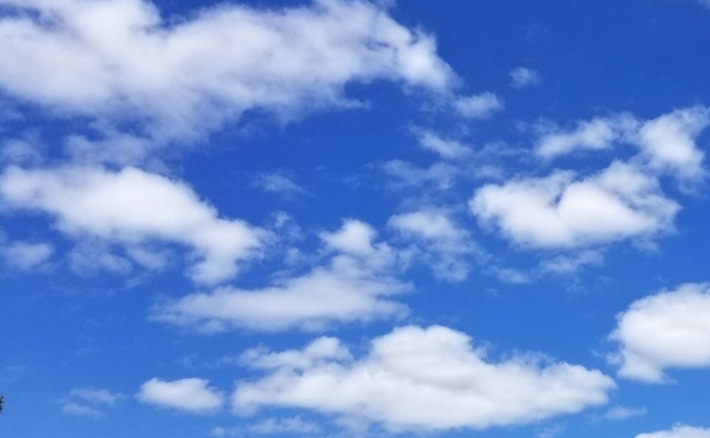 Photograph by Michelle Vaughn