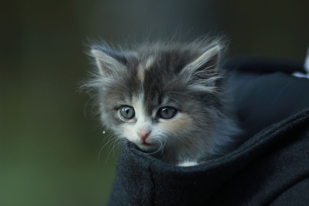 Photograph by Лариса Оханова