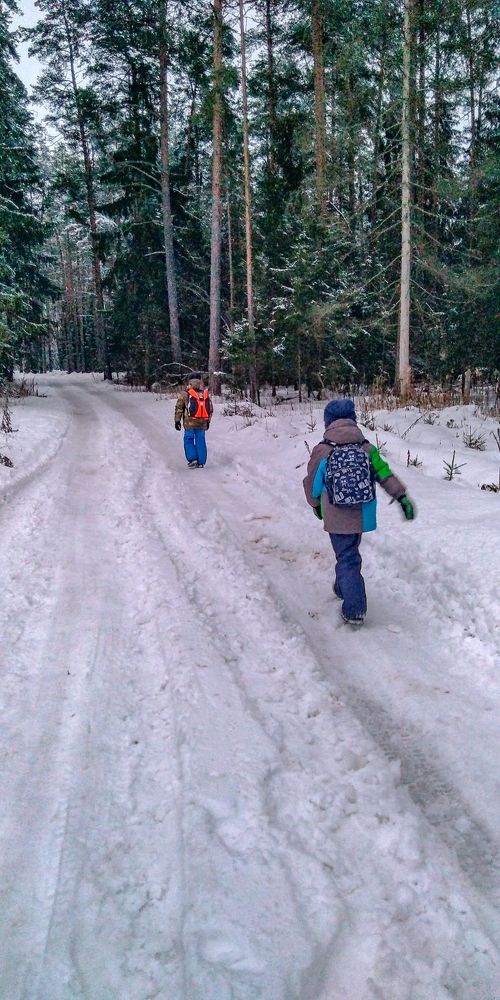 Photograph by Дмитрий Михайлов