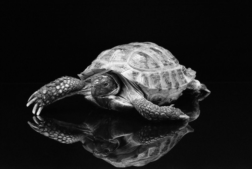 Фотография автора Кирилл Сизов