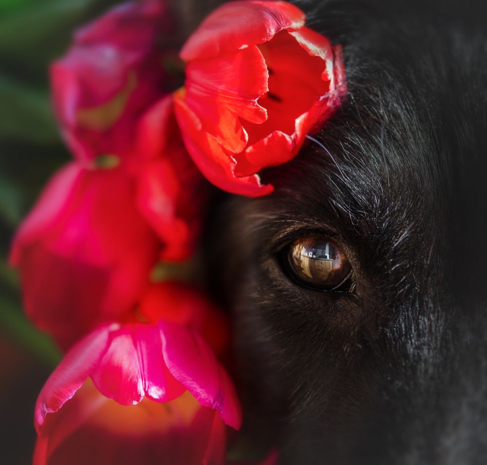 Photograph by Марина Шишкина