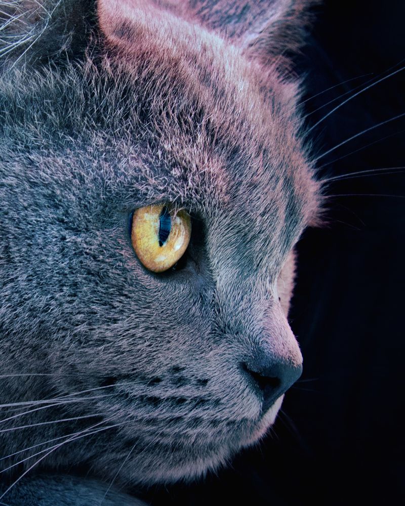 Photograph by Татьяна Колесникова