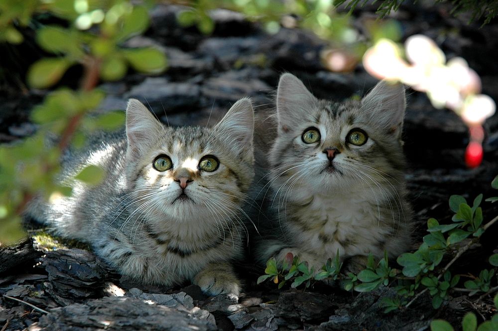 Photograph by Нелли Сидоренко