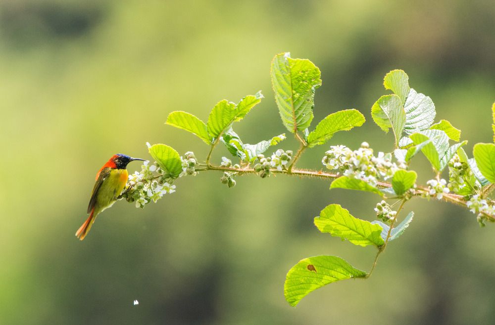 Photograph by Soumendu Das