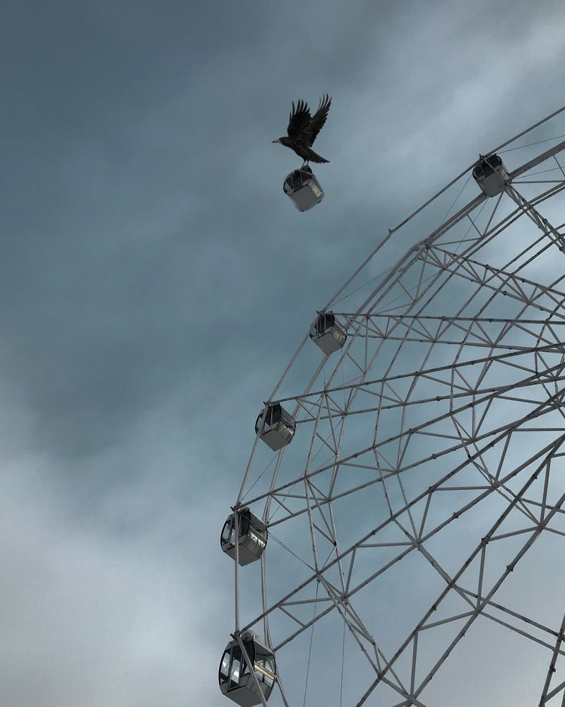 Photograph by Дмитрий Гришкевич