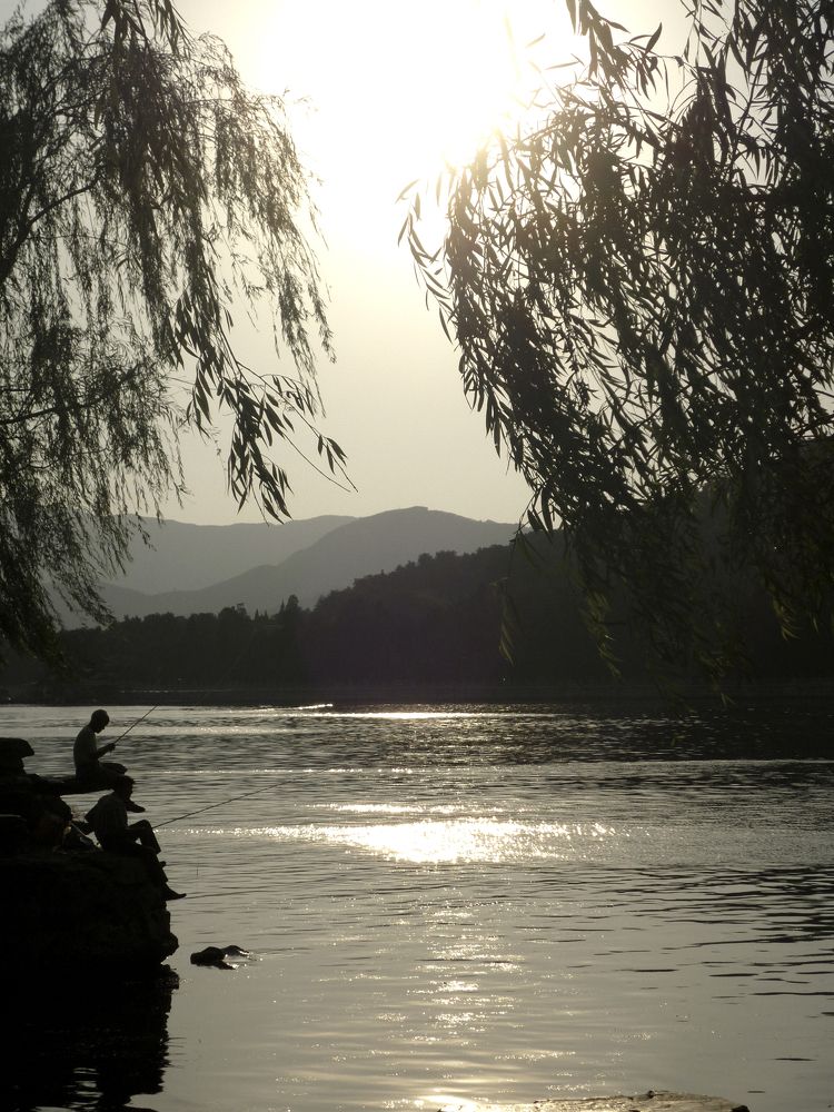 Фотография автора Василиса Новикова