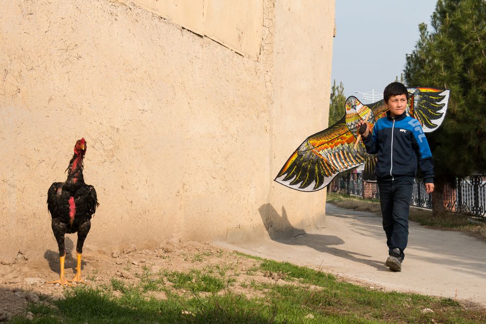 Photograph by Арсен Фазильдзянов