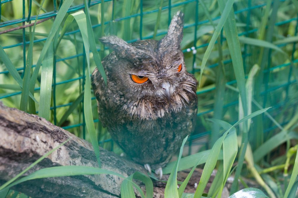 Photograph by Елена Кондратьева