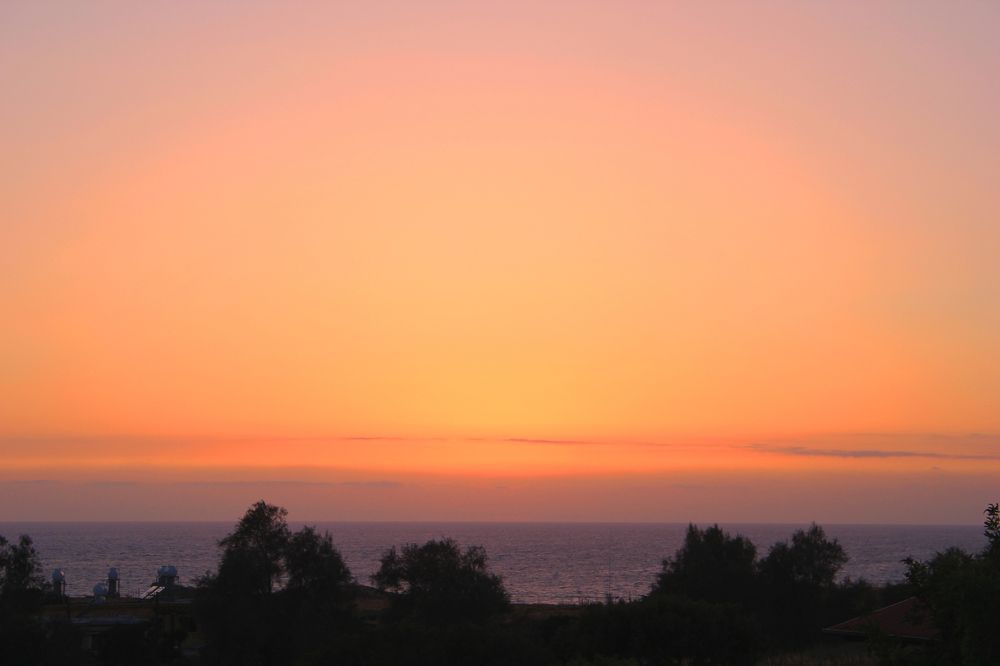 Photograph by 