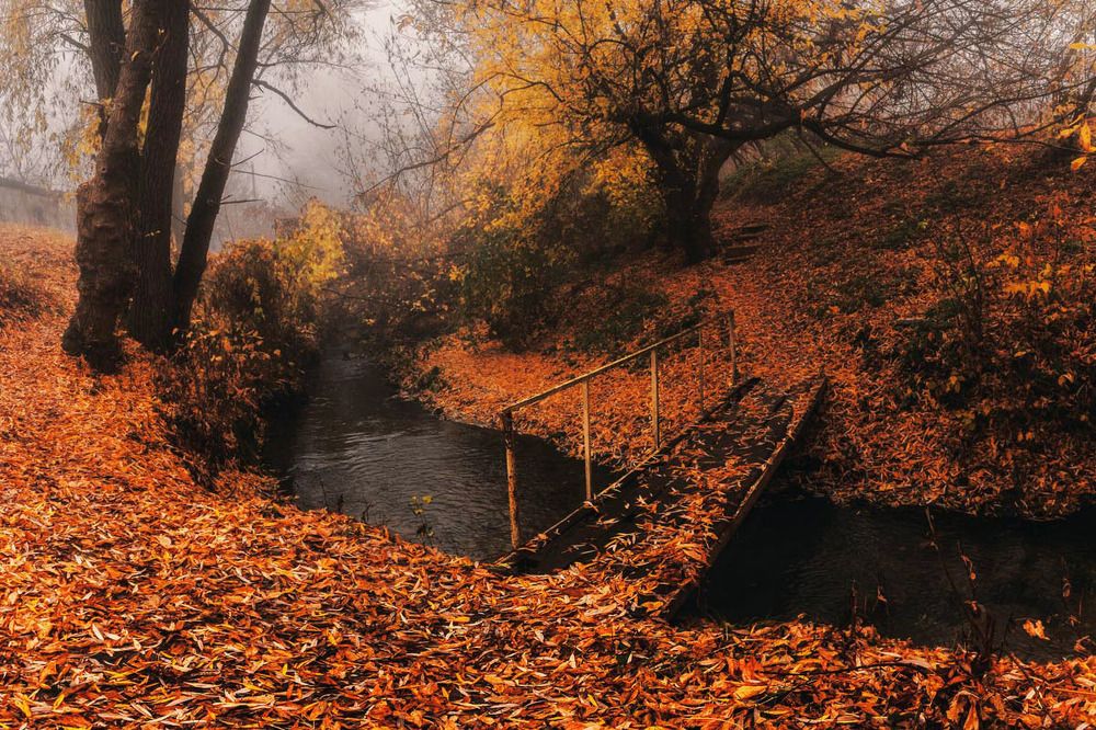 Photograph by Владимир Черных