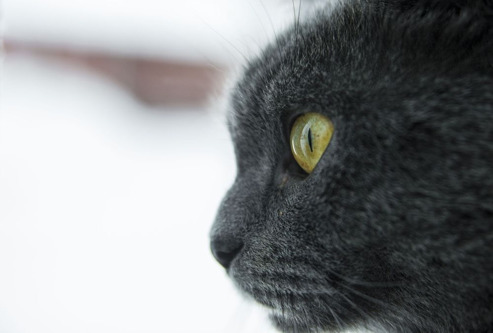 Photograph by Василий Либко