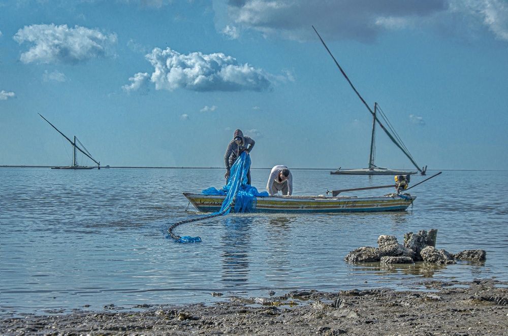 البحث عن الرزق