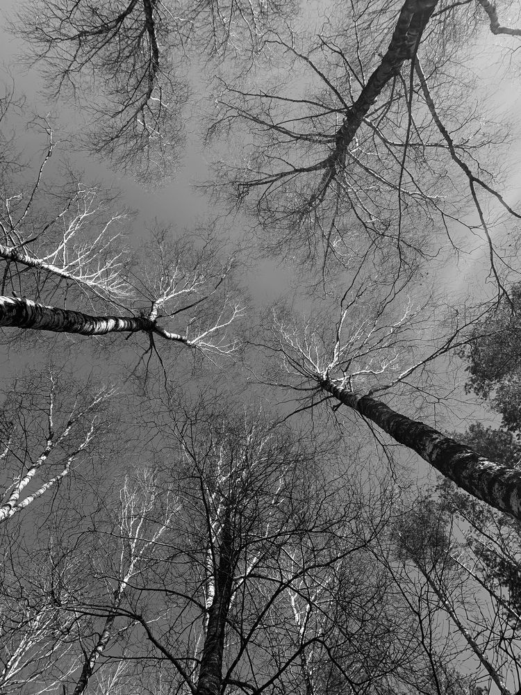 Photograph by Елена