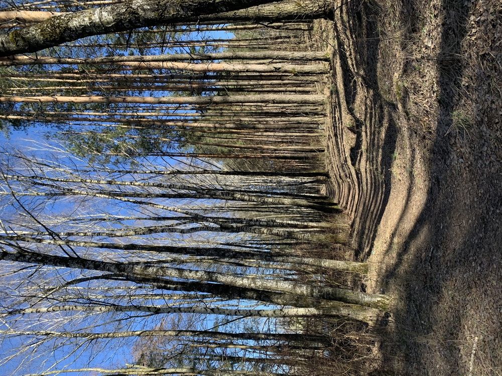 Photograph by Елена