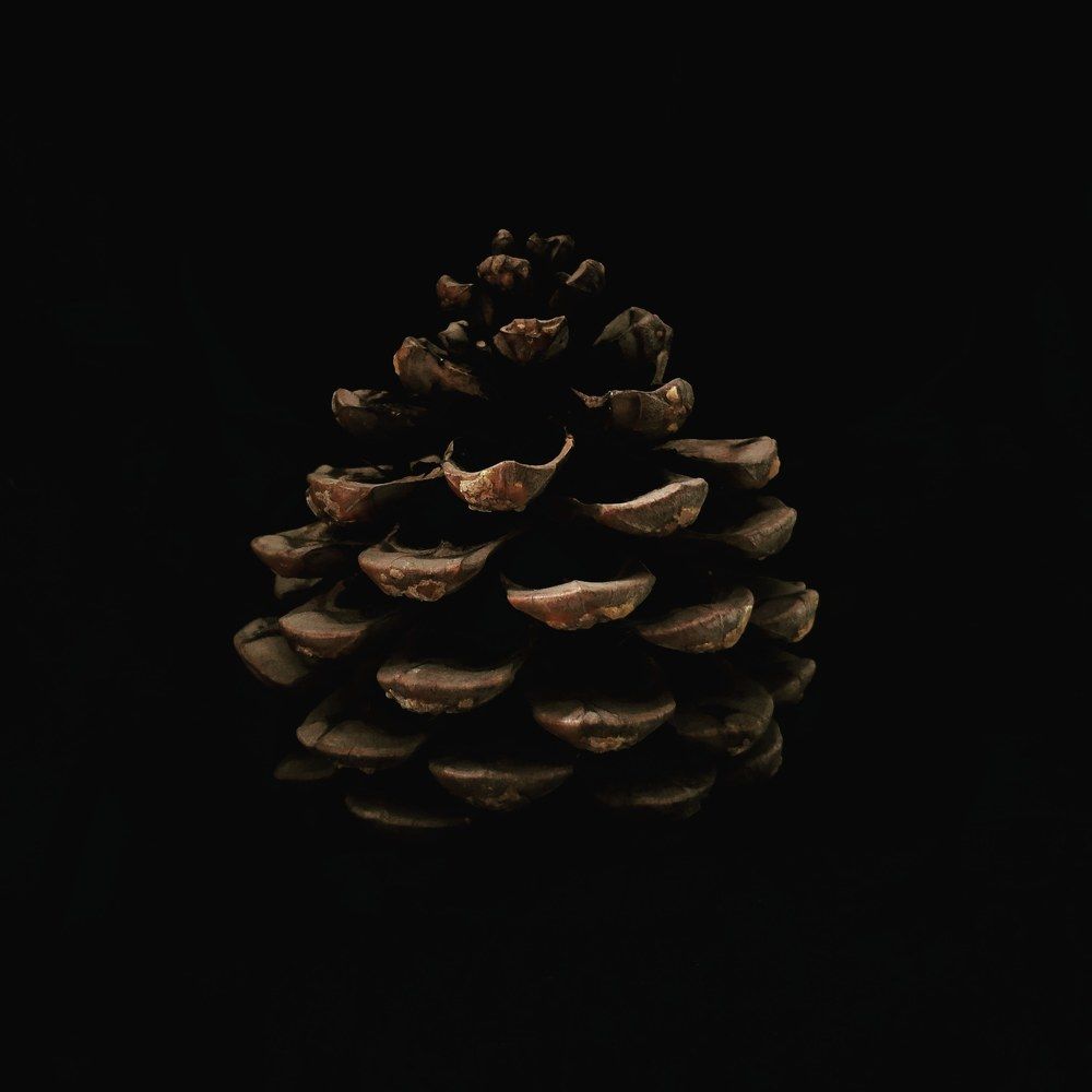 Photograph by Olga Royanova