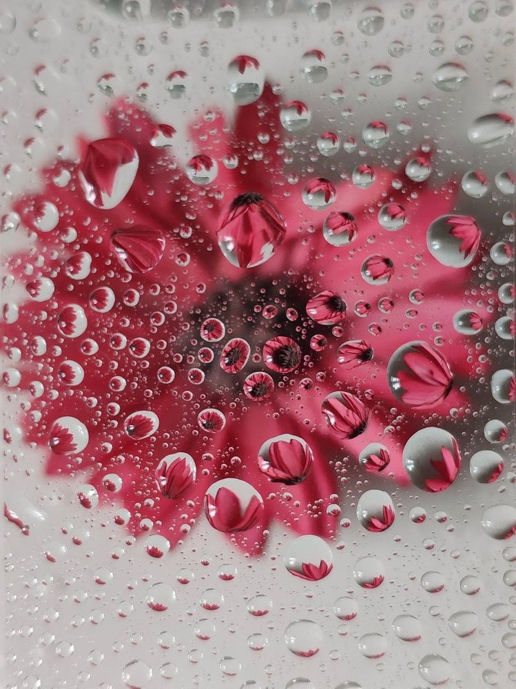 Photograph by Olga Royanova