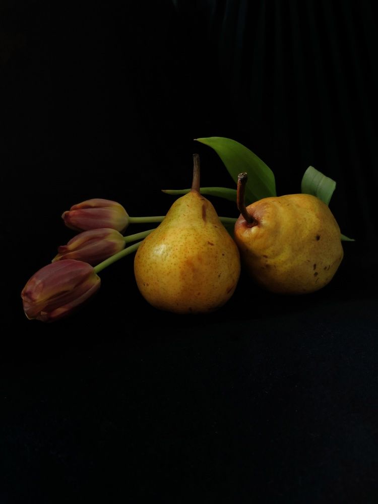 Photograph by Olga Royanova