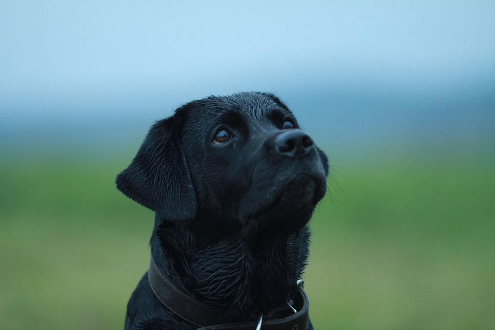 Photograph by Лариса Оханова