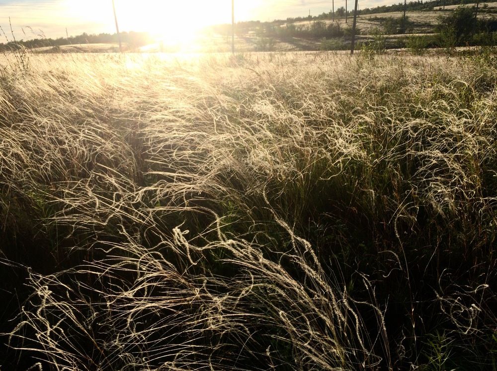 Photograph by Валяева Анастасия