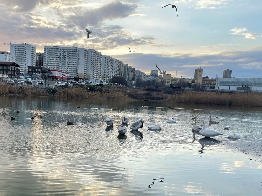Фотография автора Мария Палтусова
