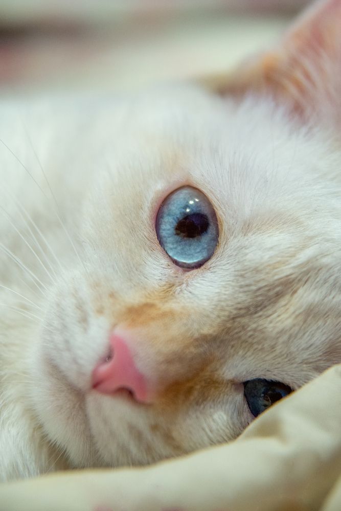 Photograph by Юлия Полянцева