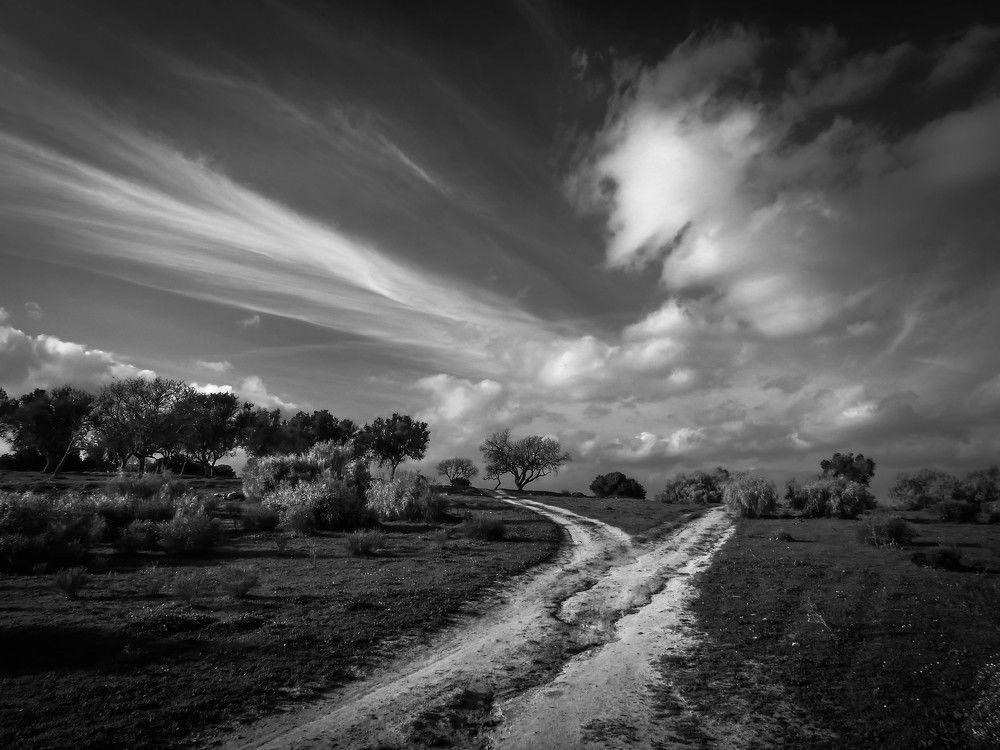 Photograph by Dmitry Skripachenko