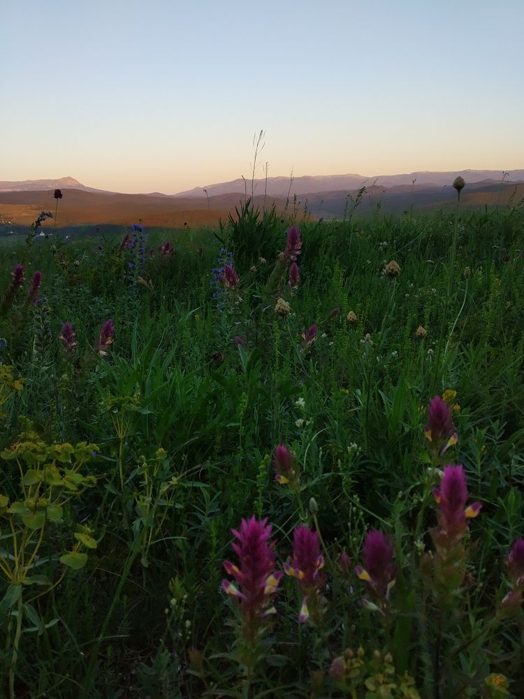 Photograph by Екатерина Романова