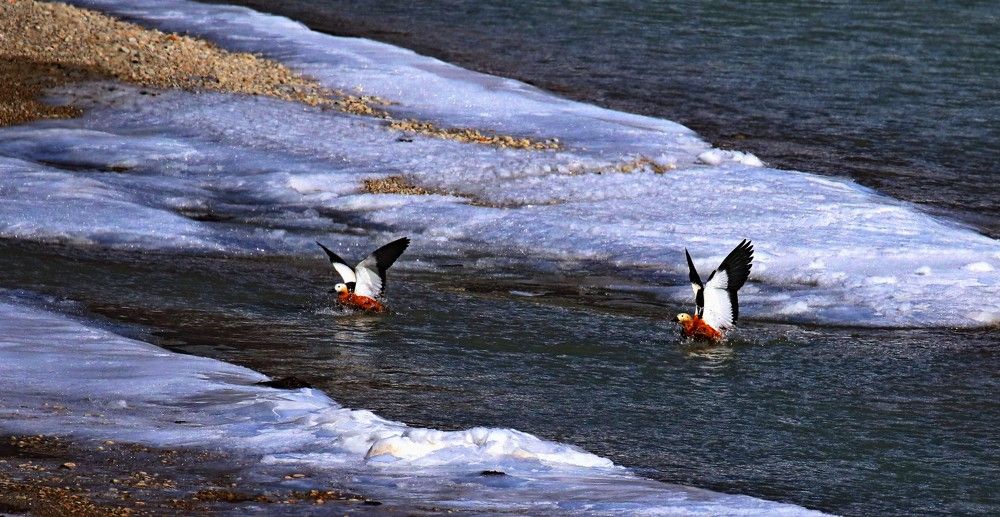 Photograph by Leki Wangdi Mr.