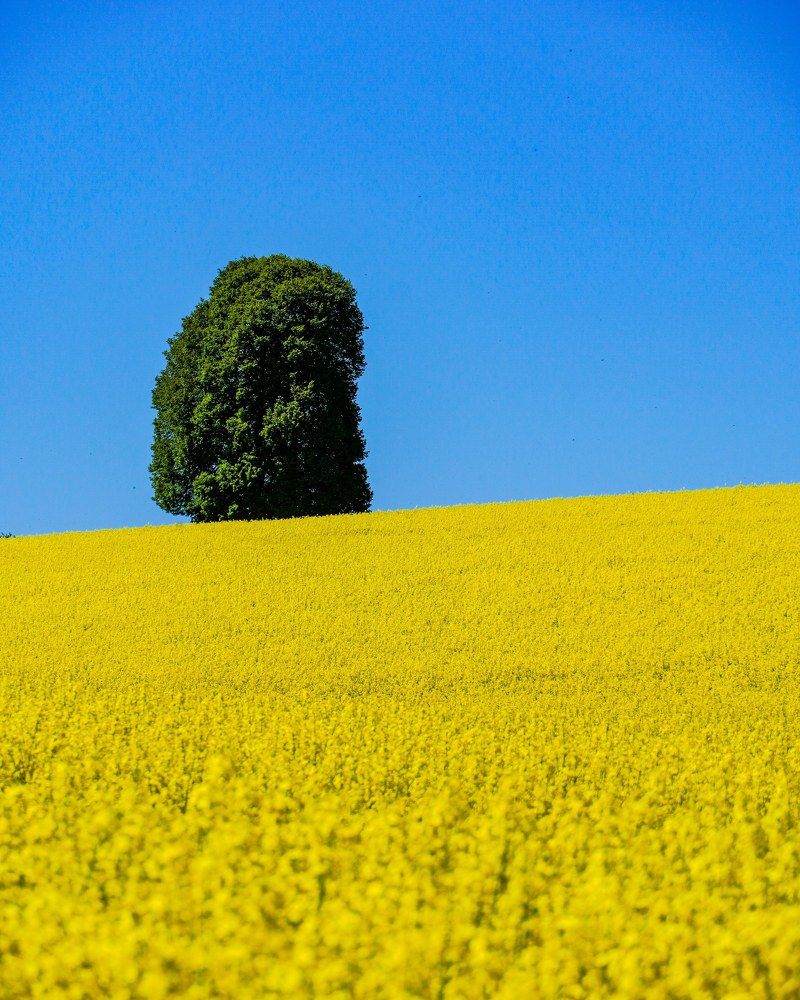 Photograph by Reinhold Seibel