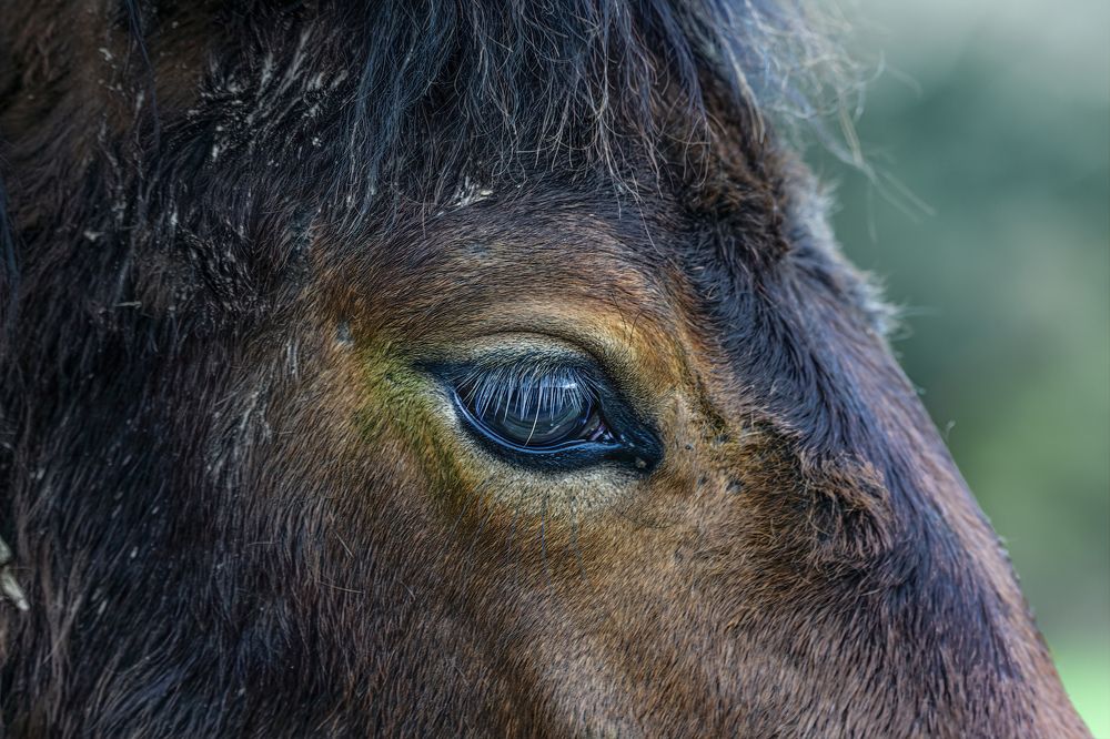 Photograph by Vitaliy Tuzov