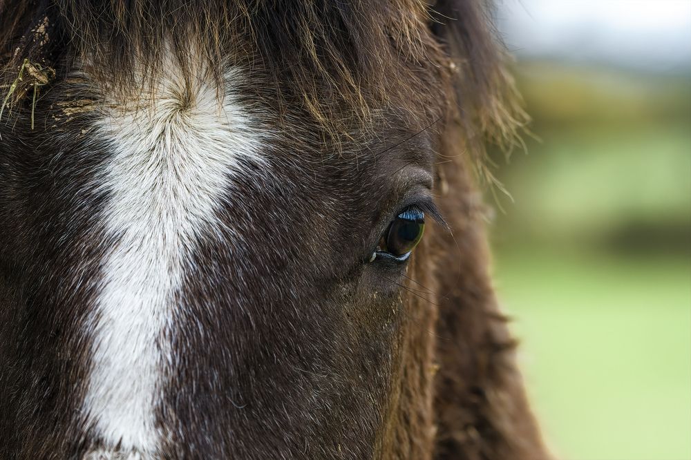 Photograph by Vitaliy Tuzov
