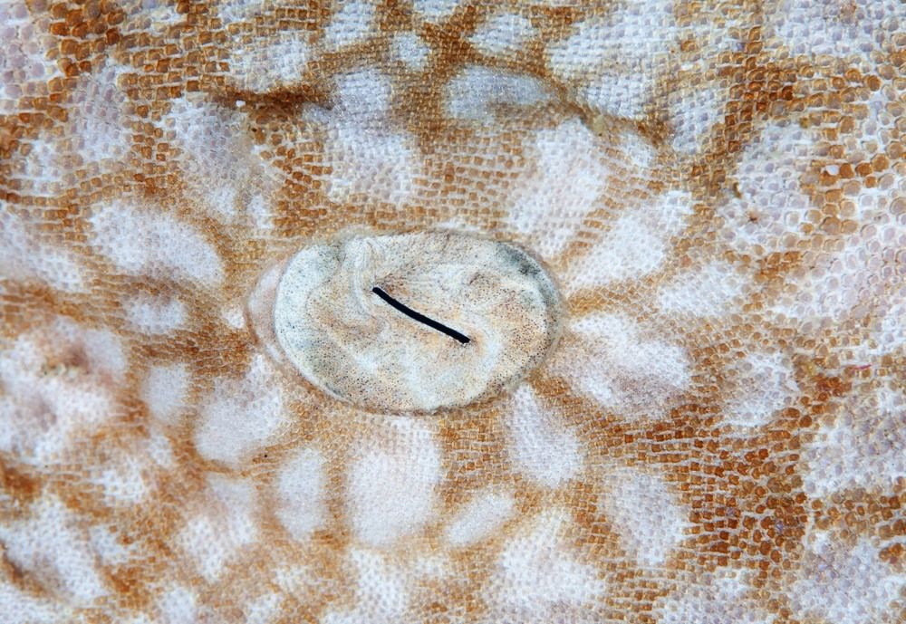 Фотография автора Нарчук Андрей