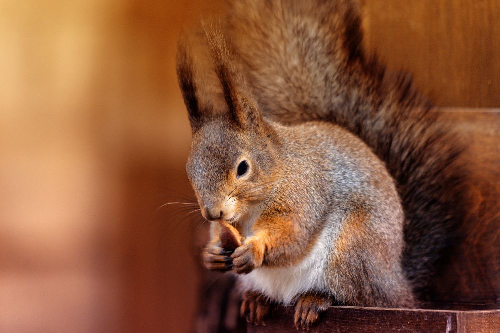 Photograph by Максим Ниязов