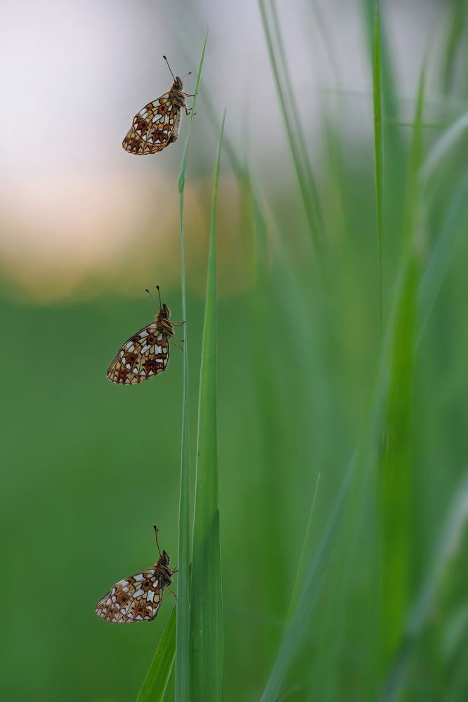 Good reminder of safe distancing!